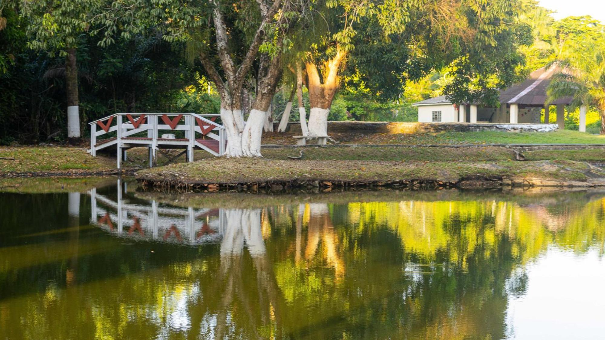 Hotel Vila Rica Belém Extérieur photo